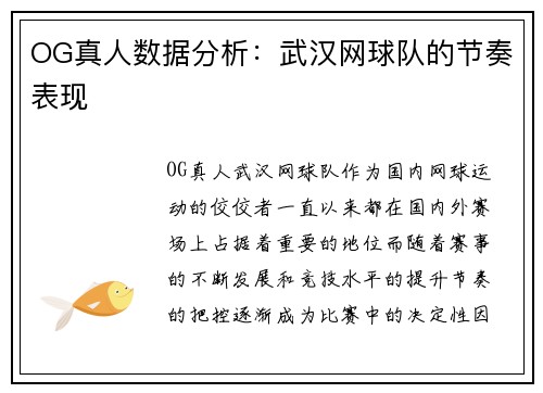 OG真人数据分析:武汉网球队的节奏表现