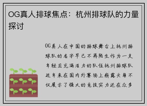 OG真人排球焦点：杭州排球队的力量探讨